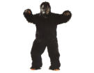 Gorilla (Gr. uni)